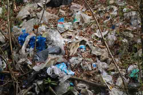 Trebiciano - spazzatura 2b